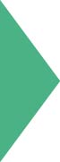 puce triangle vert